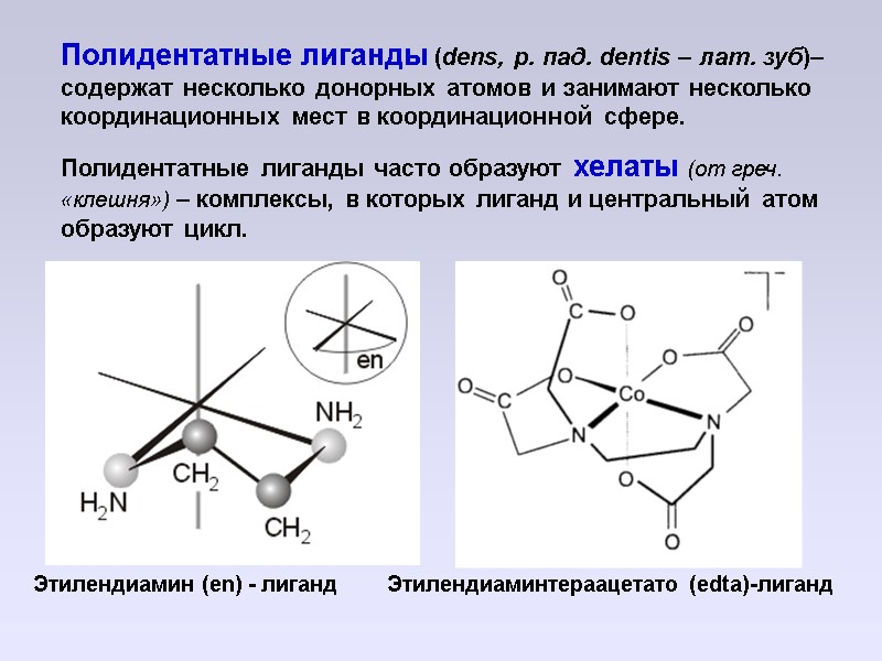 Полидентатные лиганды (dens, р. пад. dentis – лат. зуб)– содержат несколько донорных атомов и